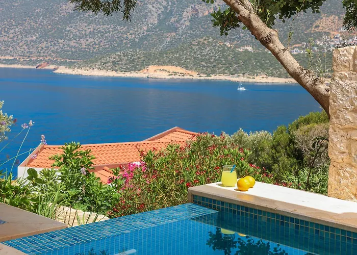 Mirage Suite, Cosy&stylish カシュ